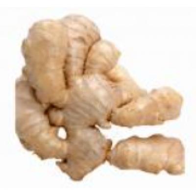 生姜 £4.69/KG