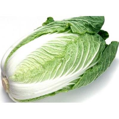 大白菜（大）